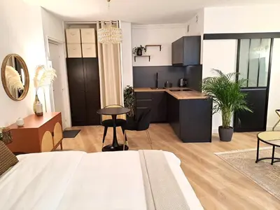 Cuisine ou kitchenette dans l'établissement Appartement Cosy Hyper Centre