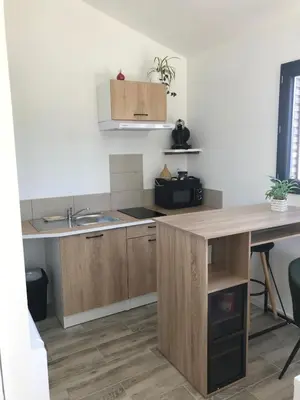 Cuisine ou kitchenette dans l'établissement Studio Tiny House