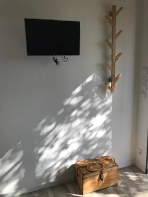 Télévision ou salle de divertissement dans l'établissement Studio Tiny House