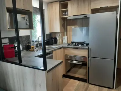 Cuisine ou kitchenette dans l'établissement Mobil-home Le Bora Bora 202