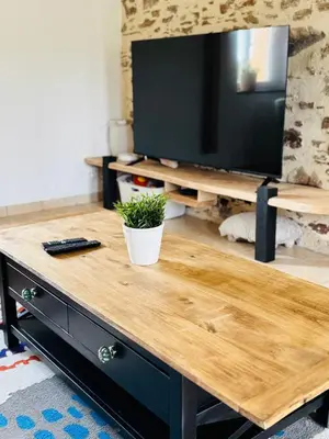 Télévision ou salle de divertissement dans l'établissement Maison de campagne en Anjou