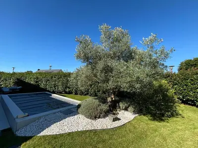 Jardin de l'établissement La Houlette