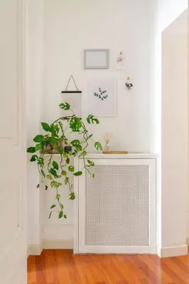 Plan de l'établissement Appartement cosy hypercentre T3 Graslin