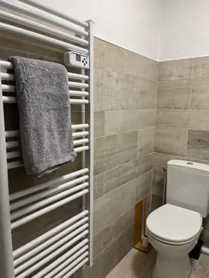 Salle de bains dans l'établissement Joli studio cozy, balcon, Cité des Congrès, Gare Sud