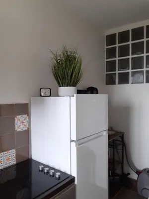 Cuisine ou kitchenette dans l'établissement Appartement face mer Rêve de Flo ts