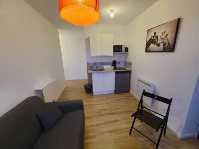 Cuisine ou kitchenette dans l'établissement Studio tout equipé