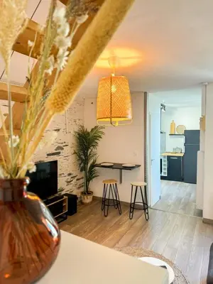 Cuisine ou kitchenette dans l'établissement Charmant Duplex Lumineux