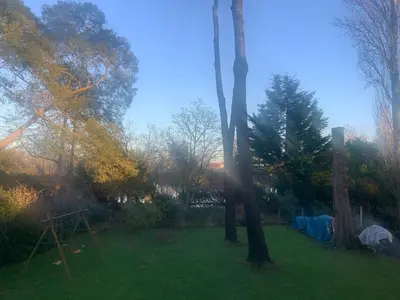 Jardin de l'établissement Maison spacieuse à 800m plage, jardin, animaux admis, parking, WiFi - FR-1-306-1294