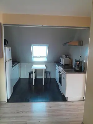 Cuisine ou kitchenette dans l'établissement Appartement 4 couchages Le nid de l'écureuil