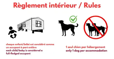 Animal ou animaux domestique(s) séjournant avec des clients dans l'établissement Camping Cœur de Vendée