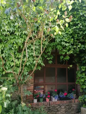 Jardin de l'établissement 2 chambres 4pers à 13km Du Puy dufou