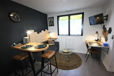 Télévision ou salle de divertissement dans l'établissement L'Appart - Résidence Chez Gally à Angers