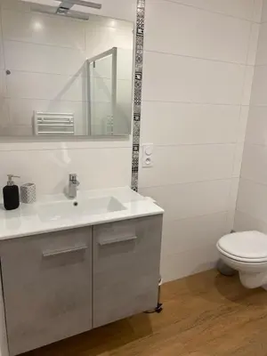 Salle de bains dans l'établissement Lalberome Appartement Golden Cholet centre Parking prive Wifi