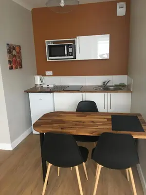 Cuisine ou kitchenette dans l'établissement Lalberome Appartement Golden Cholet centre Parking prive Wifi