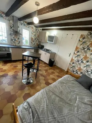Cuisine ou kitchenette dans l'établissement Studio indépendant dans maison d habitation