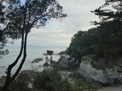 Paysage naturel près de l'appartement