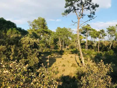 Paysage naturel près de l'appartement