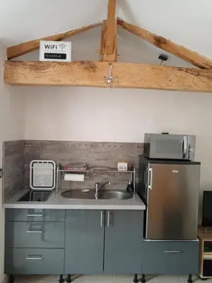 Cuisine ou kitchenette dans l'établissement Studio Cosy