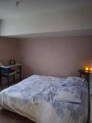 Un ou plusieurs lits dans un hébergement de l'établissement Chambre lit double près de la Loire