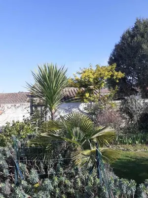 Paysage naturel près de le B&B/chambre d'hôtes