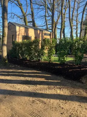 Jardin de l'établissement Tiny House
