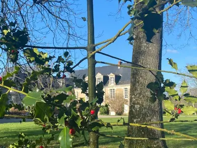 Jardin de l'établissement Domitille