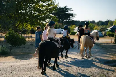 Animaux dans le camping ou à proximité