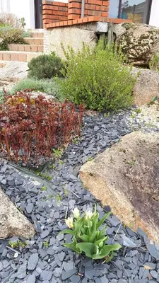Jardin de l'établissement Le Gîte du Côteau - 14 personnes - 15mn du Parc