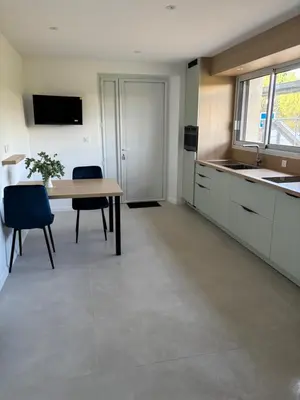 Cuisine ou kitchenette dans l'établissement Studio