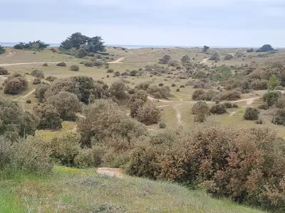 Paysage naturel près de l'appartement