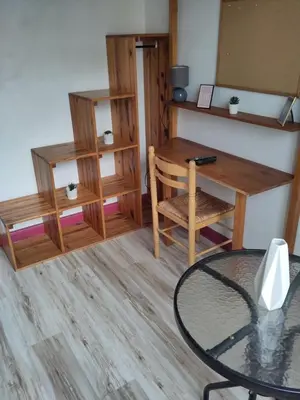 Cuisine ou kitchenette dans l'établissement Chambre - Studette Indépendante Zola