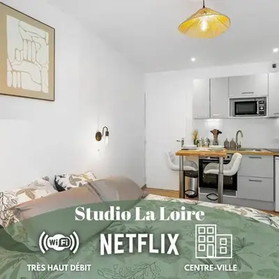 Centre-ville - Fibre - Netflix - Studio la Loire