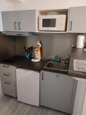 Cuisine ou kitchenette dans l'établissement Appartement des machines