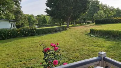 Jardin de l'établissement Cabane du lac