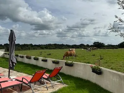 Animaux dans la maison de vacances ou à proximité