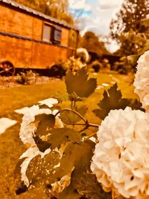 Jardin de l'établissement Les Roulottes De La Basse Maunerie