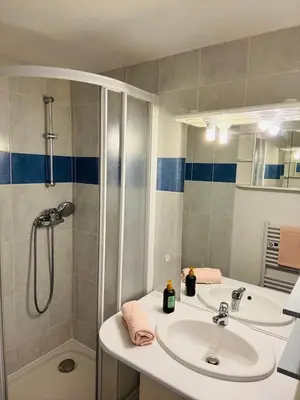 Salle de bains dans l'établissement Duplex cosy neuf - wifi - balcon - en bordure de forêt de pins - proche plage