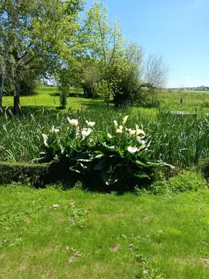 Jardin de l'établissement Chambre dans un cadre bucolique avec petit-déjeuner