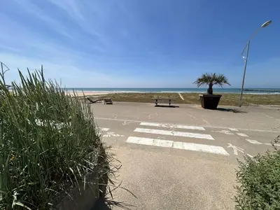 Paysage naturel près de l'appartement