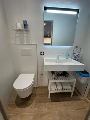 Salle de bains dans l'établissement Studio proche aeroport Nantes