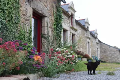Animal ou animaux domestique(s) séjournant avec des clients dans l'établissement La Petite Bérais