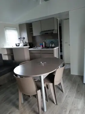 Cuisine ou kitchenette dans l'établissement Mobil Home
