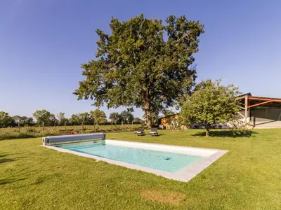 Piscine de l'établissement Studio Jungle avec terrasse et piscine chauffée près de Nantes - FR-1-306-1304 ou située à proximité