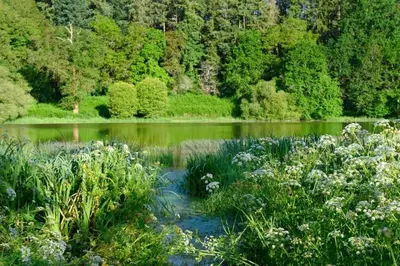 Paysage naturel près de la maison de vacances