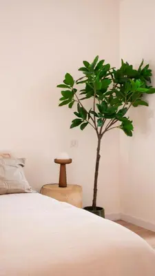 Un ou plusieurs lits dans un hébergement de l'établissement Le Mercœur, appartement calme en hypercentre