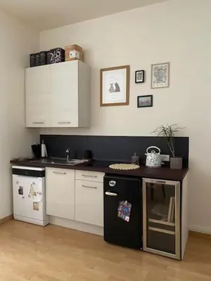Cuisine ou kitchenette dans l'établissement Studio hyper centre Angers