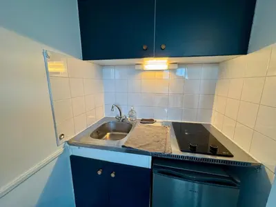 Cuisine ou kitchenette dans l'établissement Appartement Cosy dans le Centre