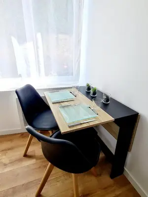 Plan de l'établissement Studio 1 Cozy en centre-ville - Puy duFou