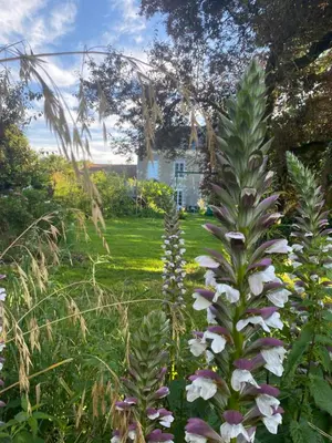 Jardin de l'établissement CH2 - MANOIR DU MOULINIER - Campagne - Calme - Petit-déjeûner inclus - Table d'hôte sur réservation - Parking gratuit