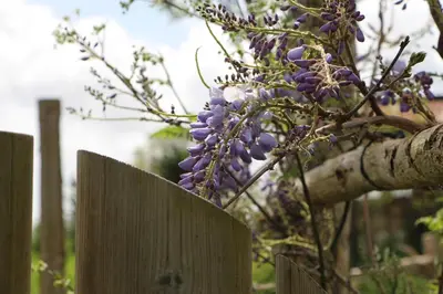 Jardin de l'établissement CH2 - MANOIR DU MOULINIER - Campagne - Calme - Petit-déjeûner inclus - Table d'hôte sur réservation - Parking gratuit